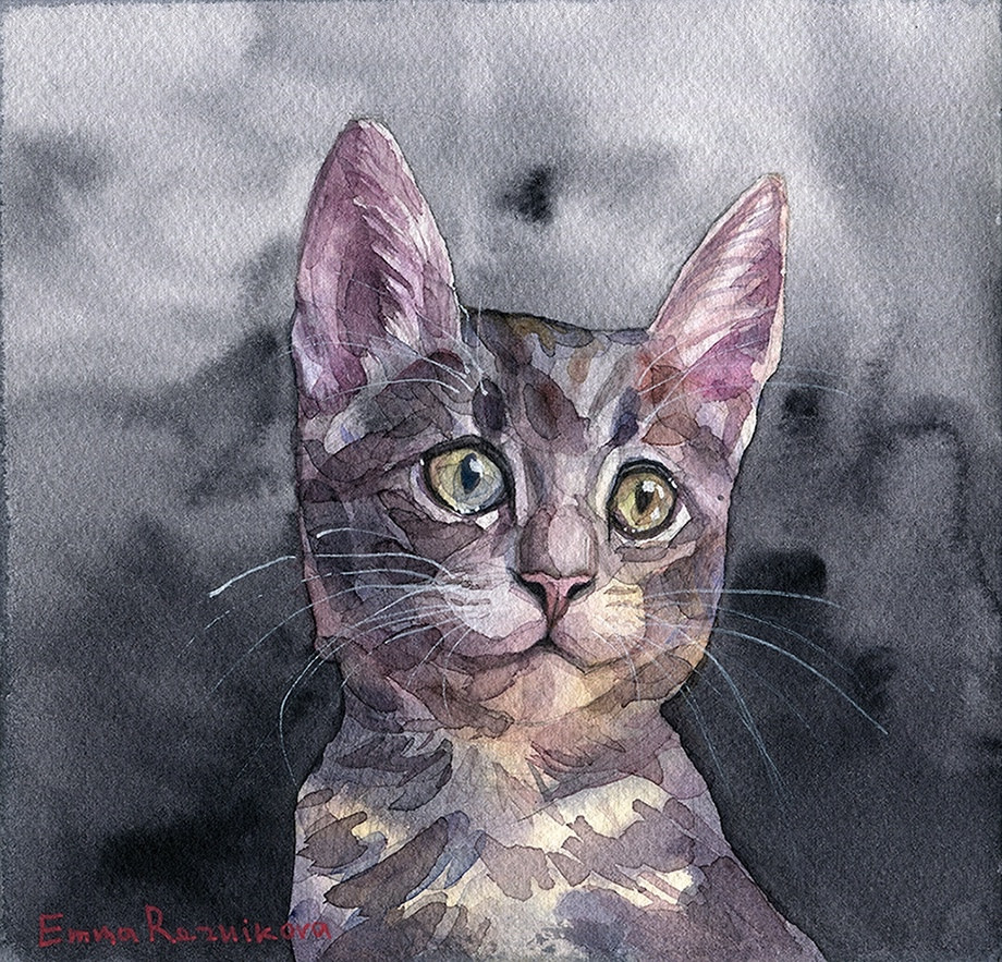 03