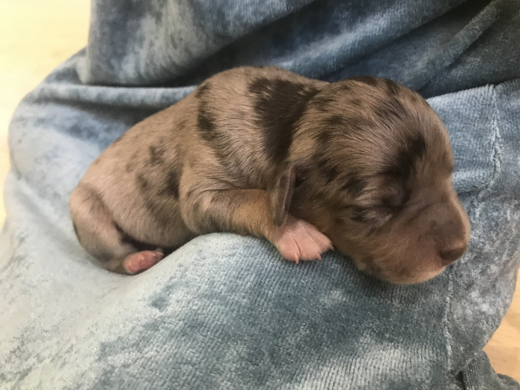 CFA5DEC2-0E9A-48A8-87DB-8AC6ED5A1DC8