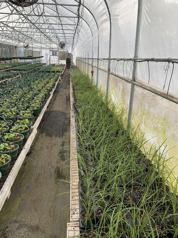 08620BB6-C010-485E-AB68-5FF8290FC188