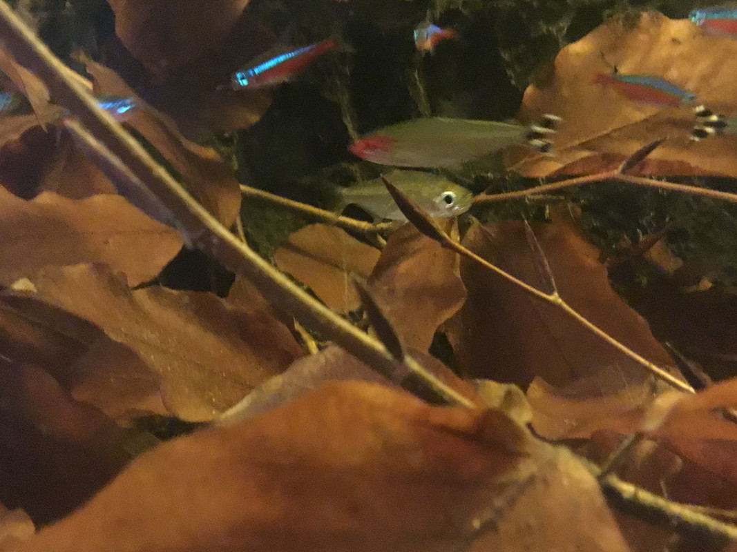 85DB1529-9214-433F-ACBF-56D8B94193D5