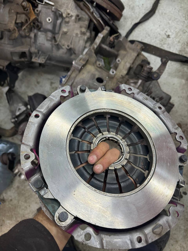 WhatsApp Image 2024-05-26 at 16.47.45