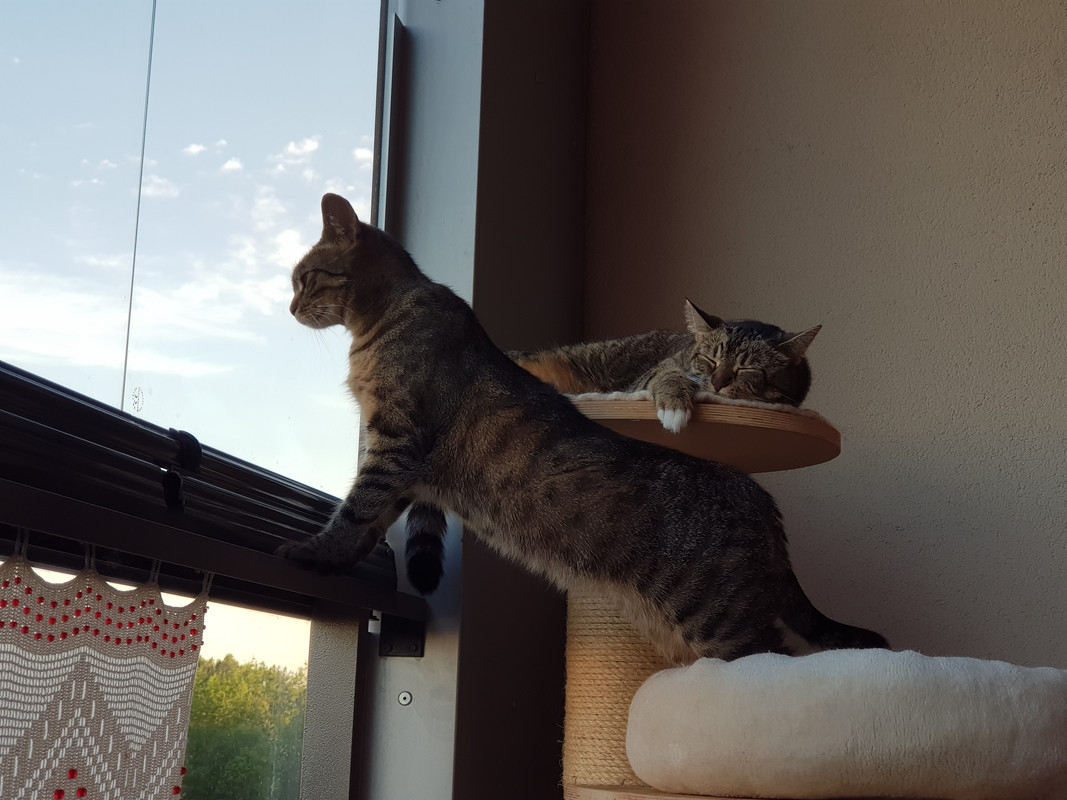 20190609-205942.jpg