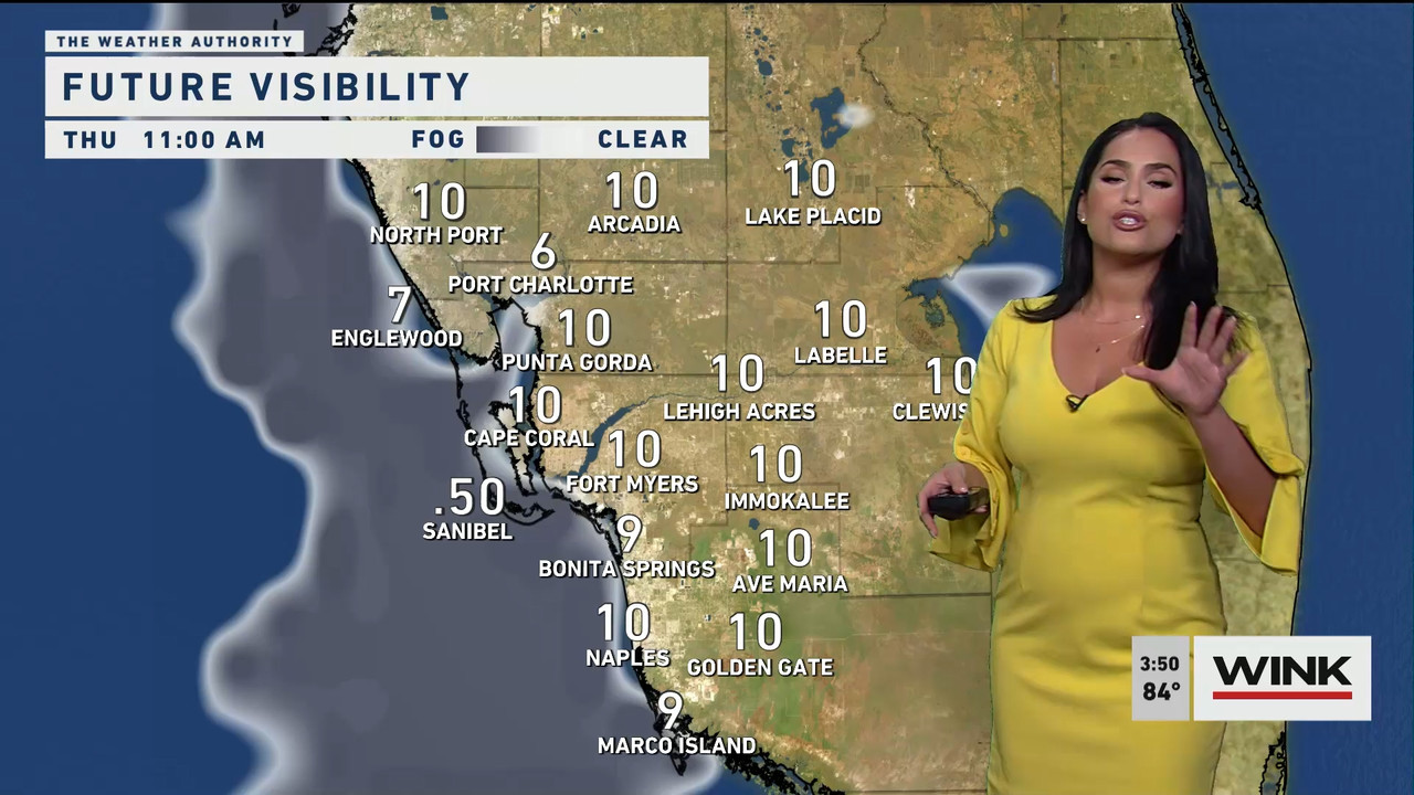 02.01 - 20.00.00 - WINK News at 3pm  ᴺᵉʷ..ts_snapshot_00.57.06.817