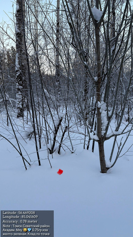 photo 2026 01 20 21 36 44