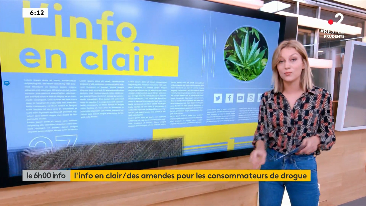 2020-06-17_06_00_Fr2_Le-6h00-info.mp4_snapshot_18.11.556