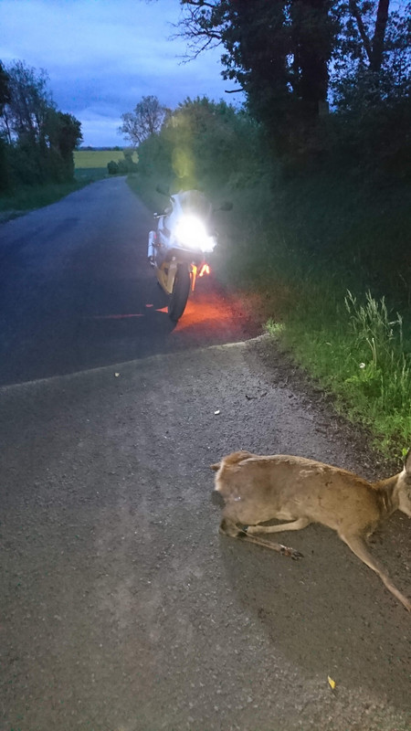 BDD4C09A-1200-4B3A-9447-2B03078EDB16