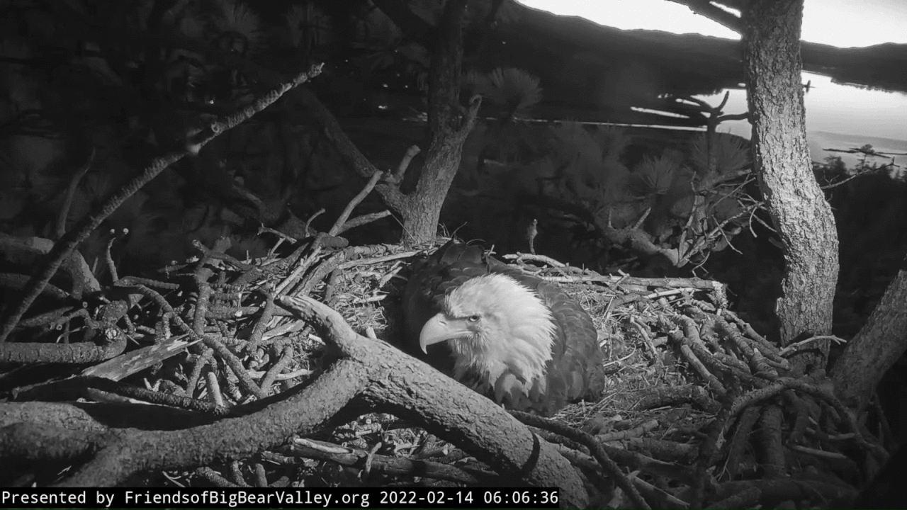 Webp.net-gifmaker (1)