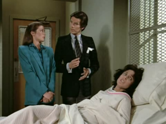 Remington Steele (6)