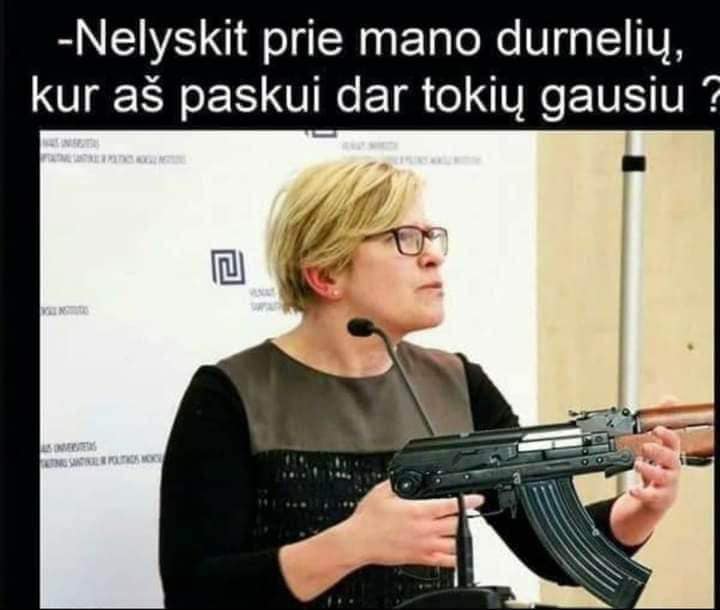 Remigijus Žemaitaitis: Vertybių politika pagal Ingridą Šimonytę