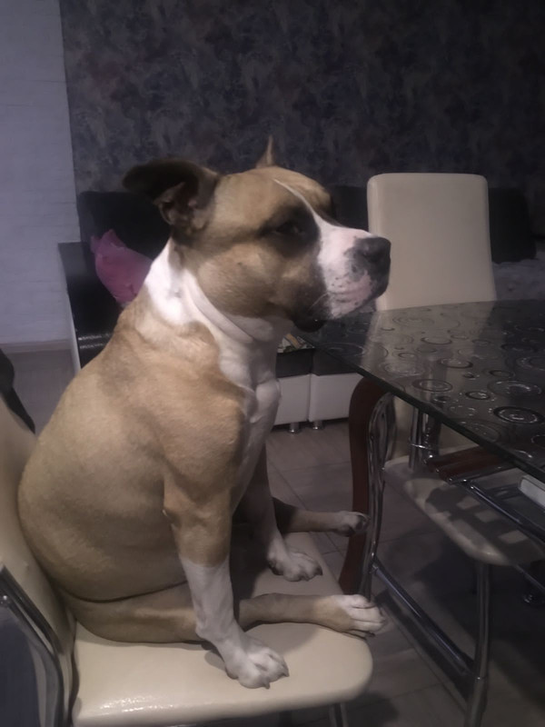 13504F37-13B9-489E-AA67-C8CB4E3F2065