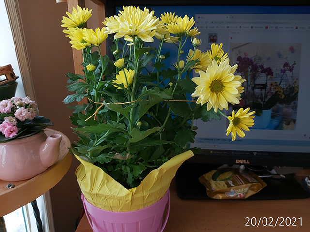 [Image: IMG-20210220-133639.jpg]