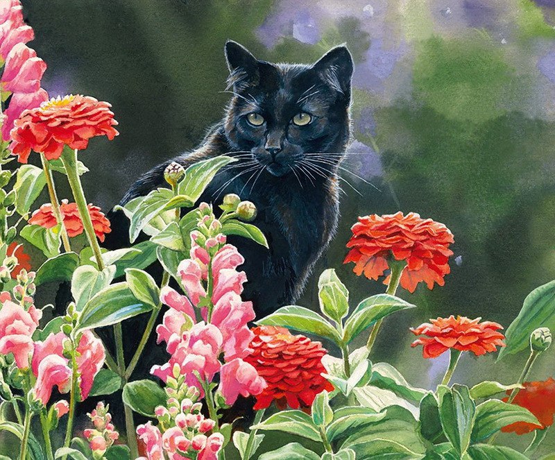 14
