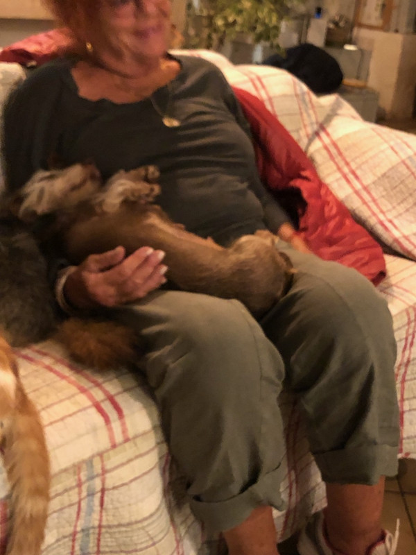 [Image: IMG-4039.jpg]