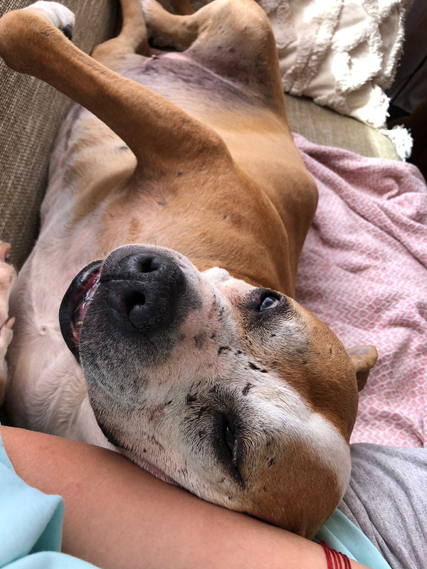 IMG 20251216 WA0013 1