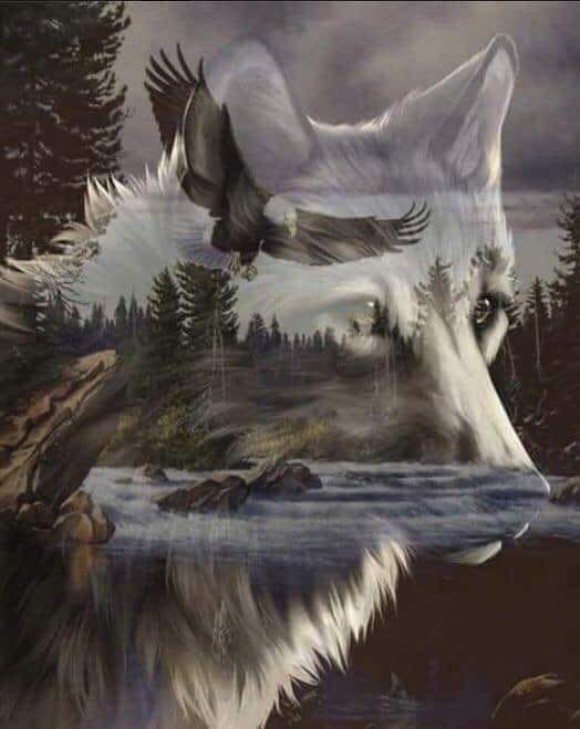 382174745-224066060650017-5505363552040139591-n.jpg