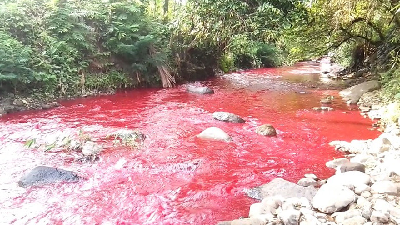 Heboh! Air Sungai Cirebon Berubah Menjadi Merah Pekat, Kades Cek Kronologinya