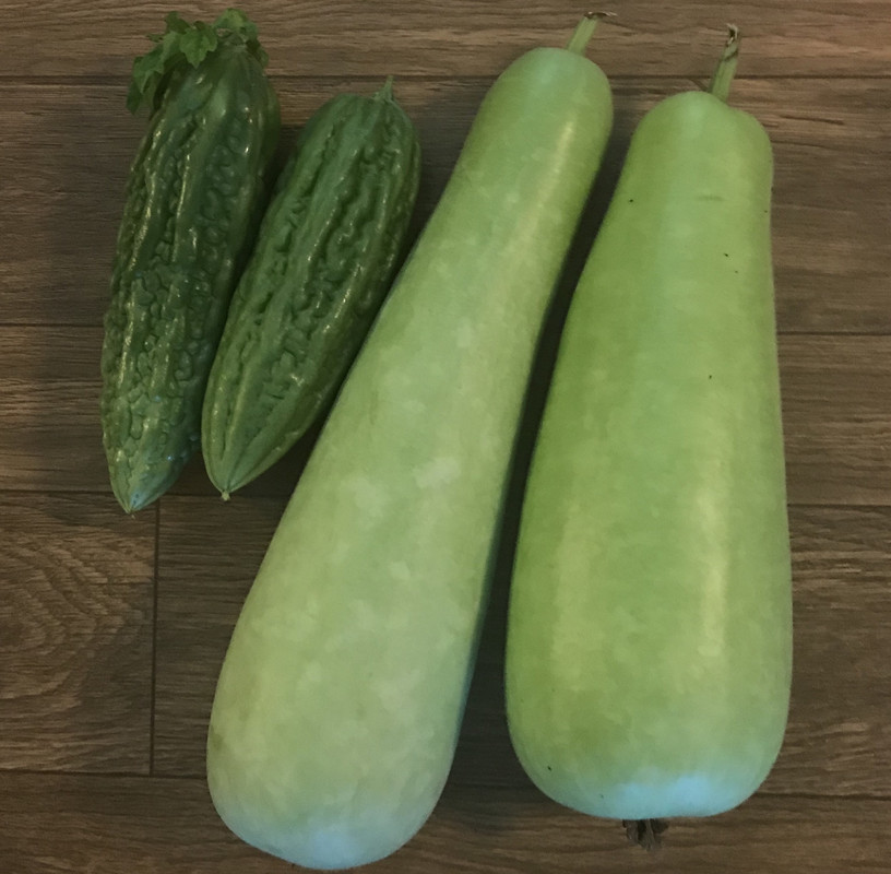 417ED9AB-F48A-4BCE-BDEB-6111B33986BE