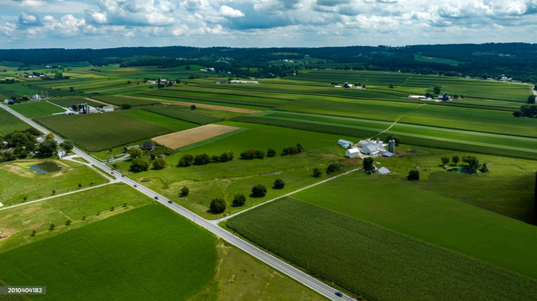 Open Plots in Bhimavaram