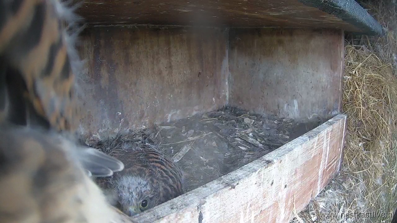 snapshot - 2025-07-04T163145.309