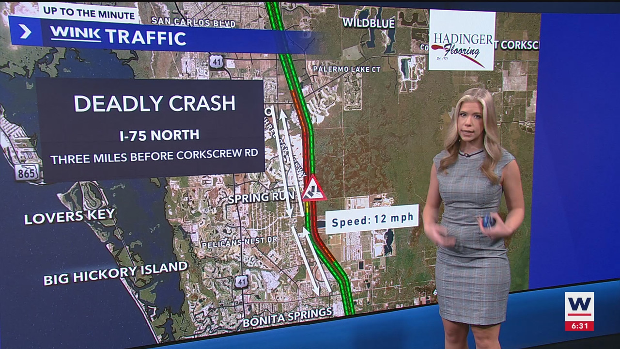 WINK News at 630am_20241101_10301100.ts_snapshot_02.41.320
