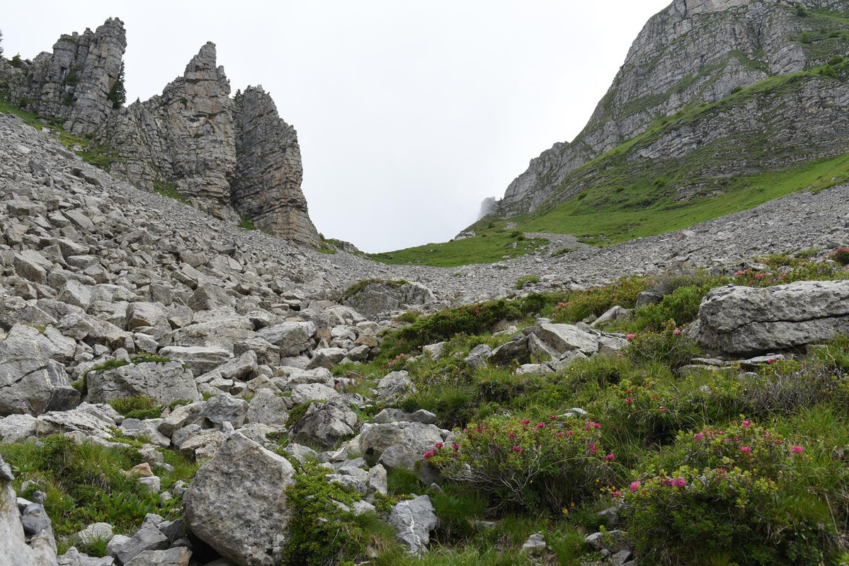 Huyendo del COVID a los Alpes (2020) - Blogs de Suiza - De casa a Grindelwald (Zona de Interlaken) (31)