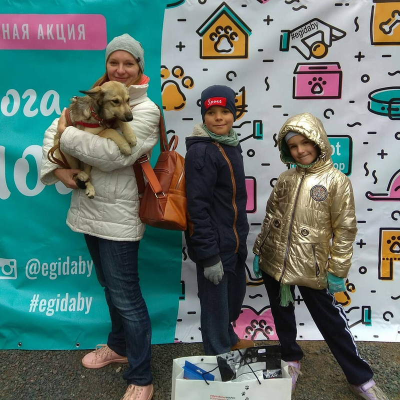 60775F35-42EE-4B9A-A8C4-60CC8BCBDC43