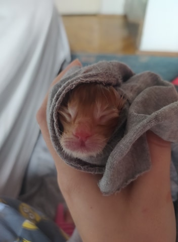 125376117-384886435964316-18360428414637