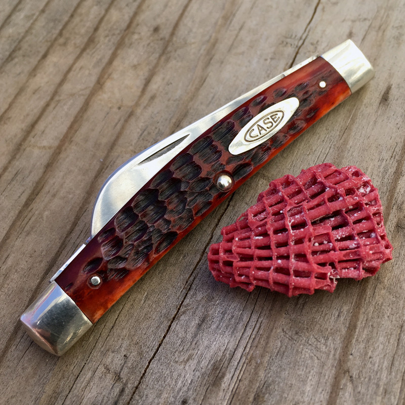 5F89C644-AB25-41E9-8D82-0EB5EF522791