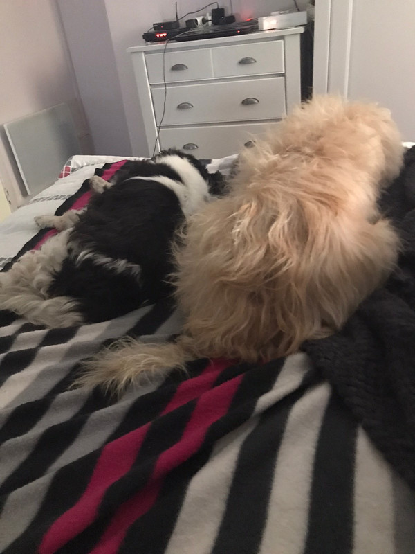 B7502838-7BFA-4CE5-ADE8-F1B564230E8C