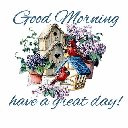 Good-Morning-Birdhouses