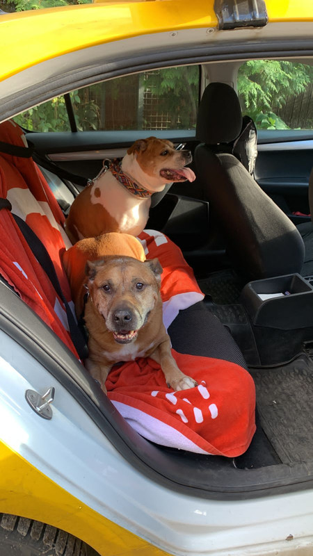 05EE221A-3D23-4BB3-8594-FADED0F690D2