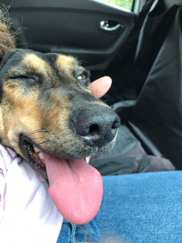 5C3D6C78-7859-4164-A220-704D4DE10290