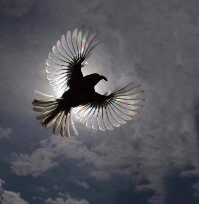 Amazing-20