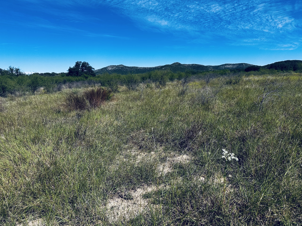 Along the trail