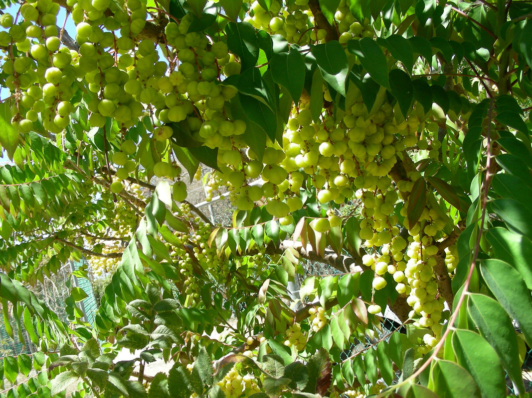 DSCN2185