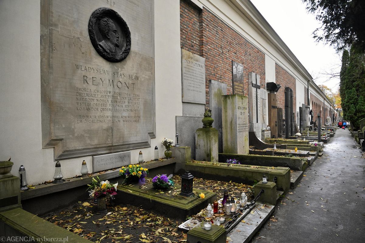 z22588760AMP-Grob-Wladyslawa-Reymonta-w-Alei-Zasluzonych-na-Sta