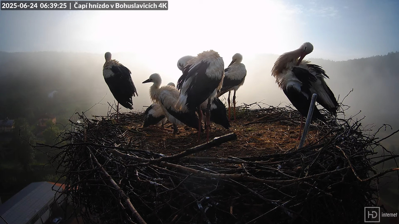 Tiešraide no KARA uzņēmuma stārķu skursteņa Bohuslavicē netālu no Trutnovas 10-10-2 screenshot