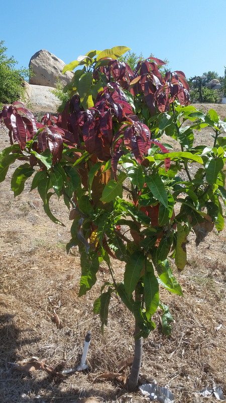 20190811_100218