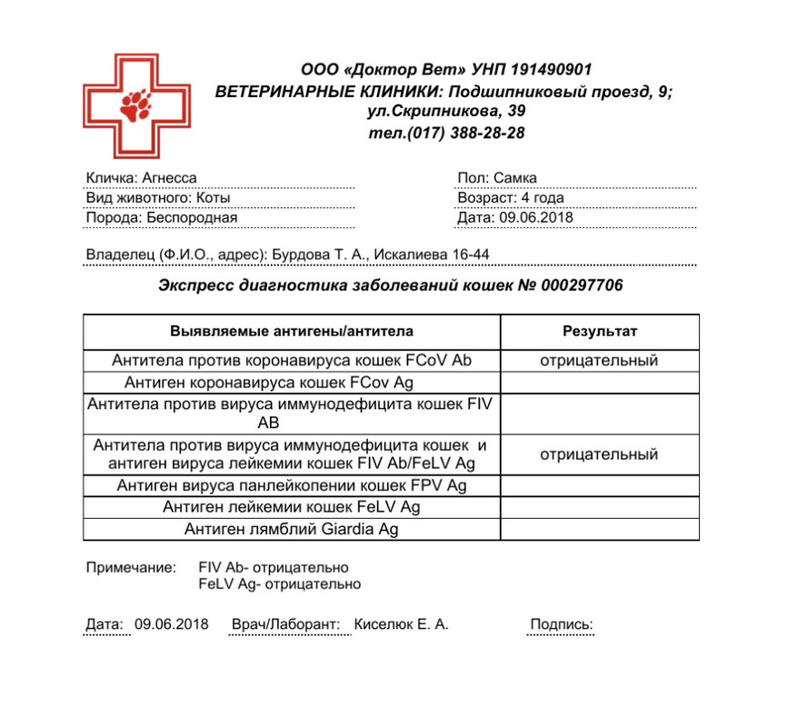 1353234B-90B7-412E-86A3-F3017843DC5E