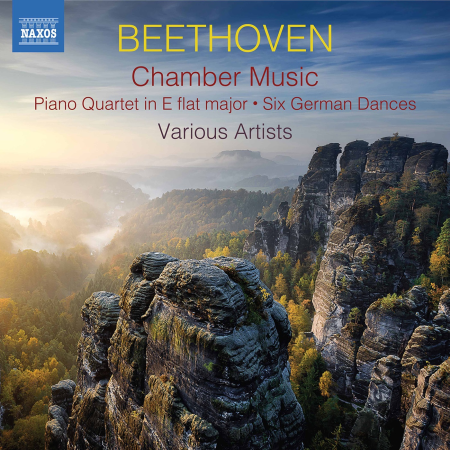 VA - Beethoven: Works (Chamber Music) (2020)