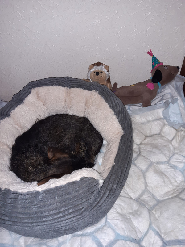 [Image: 20230918-073400.jpg]