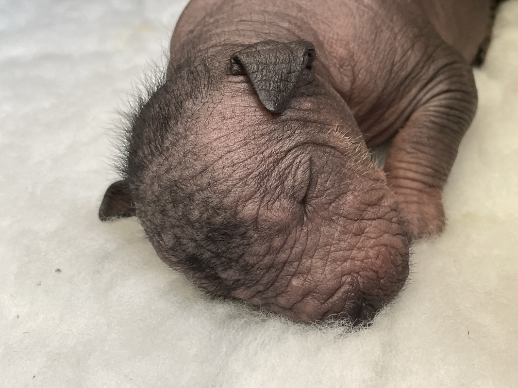 6628C9E2-DCCB-4E6B-9352-721D00E9286F