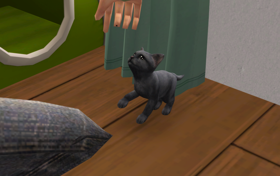 Sims2-EP9-RPC-2021-05-15-16-59-59-67