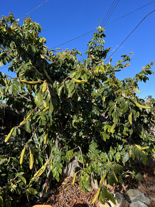 A5160172-202E-4BA0-88EE-E50A8836ECA2