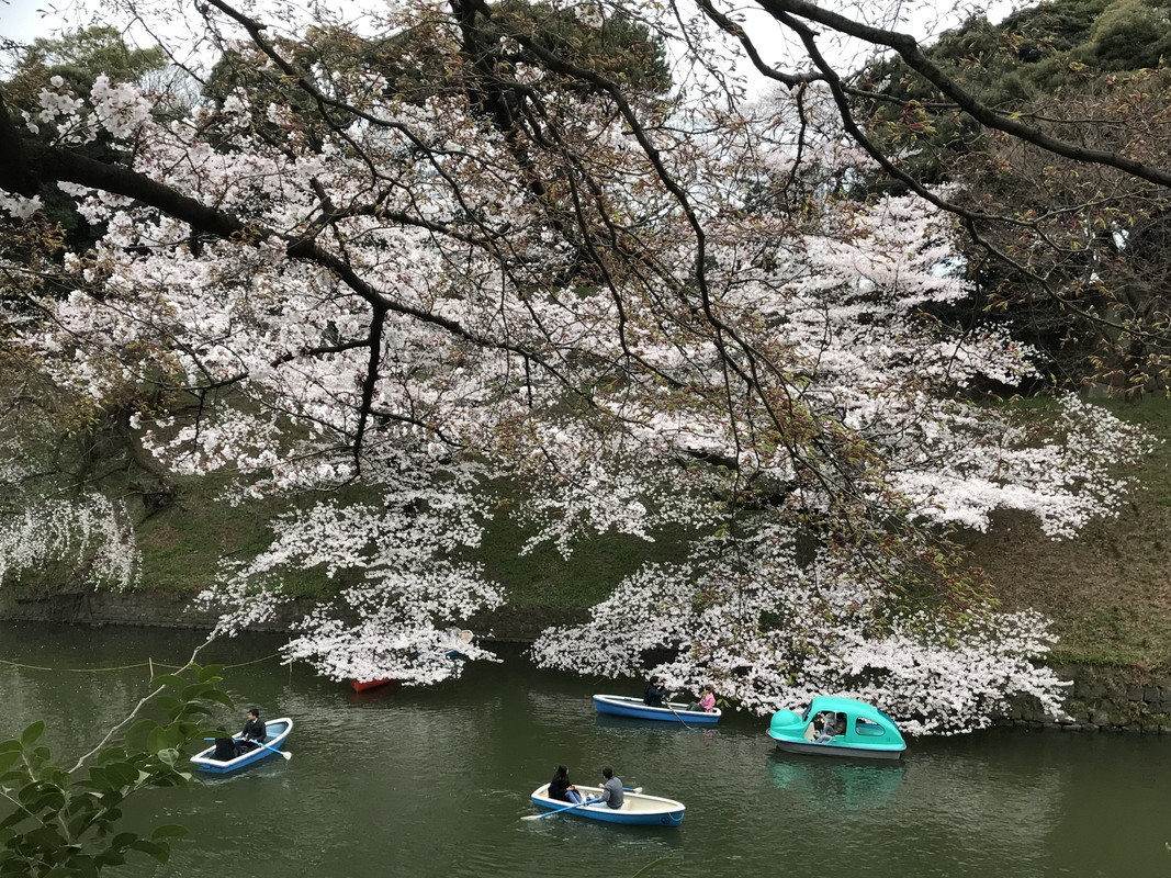 066BAC9E-A50C-4FBF-8D9F-35FD3B6852D2