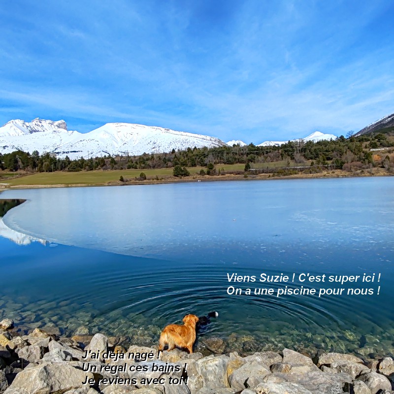 IMG-20260222-122128bb