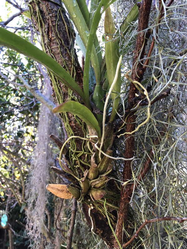 F091B952-F006-44E0-9CA1-58B8B893874F