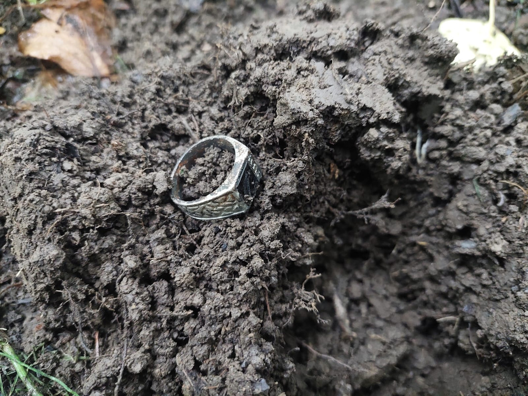 Изображение WhatsApp 2024-07-12 в 12.14.58_56e29ca4