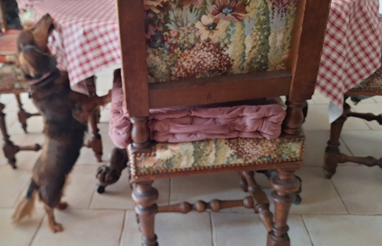 [Image: 20250503-124842.jpg]