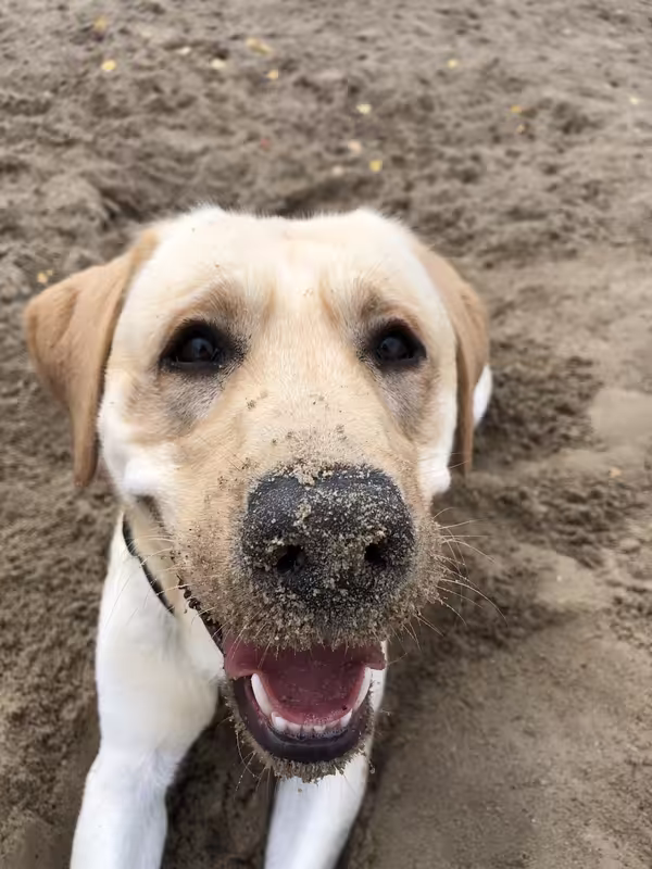 2818120B-3D14-48D8-B579-0F8E0C3348D5